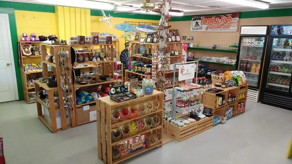 Anvil Campground 윌리엄스부르크 미국