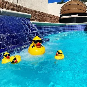 https://j-luxury-pool-and-heat-jaccuzi-house-of-las-vegas.las-vegashotels.net